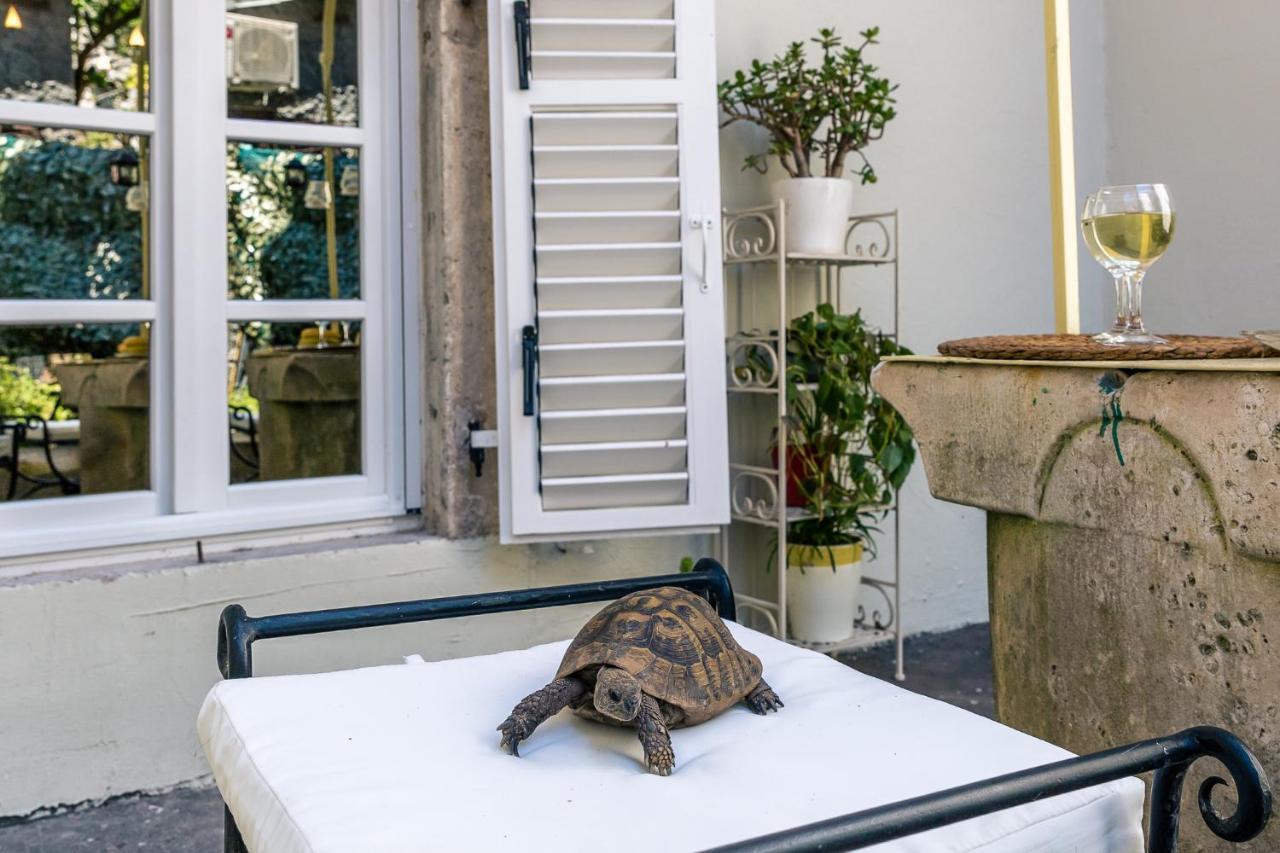Perfetto Perasto Residence Exteriér fotografie
